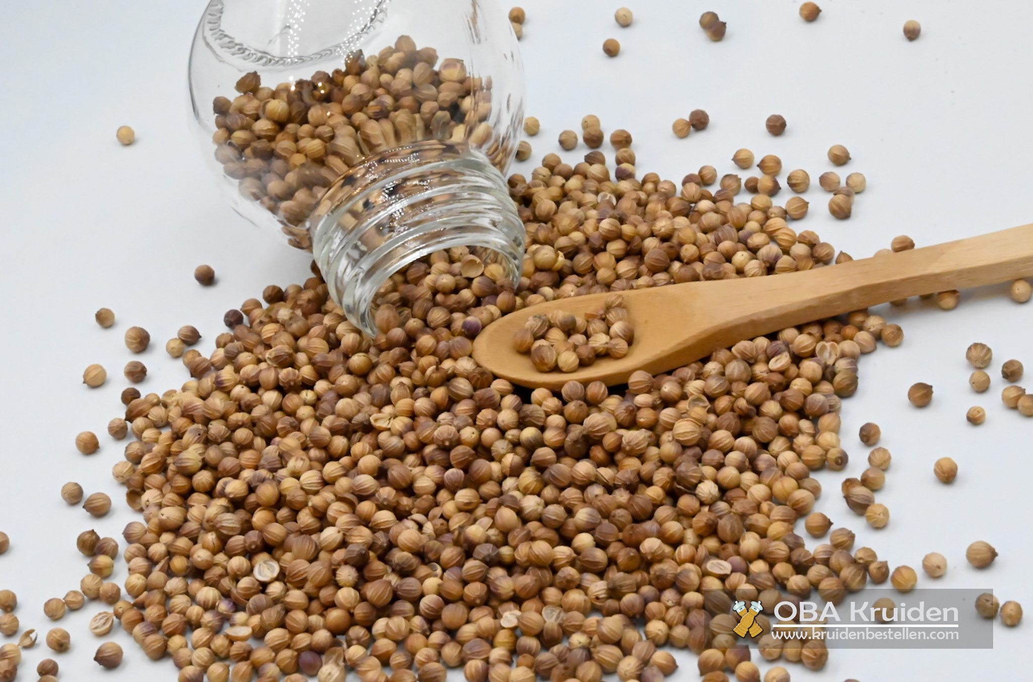 Korianderzaad (Ketoembar) bestellen Korianderzaad (Ketoembar) bestellen