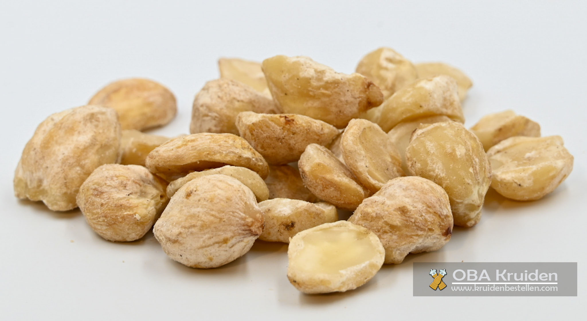 Kemiri Noten bestellen Kemiri Noten bestellen